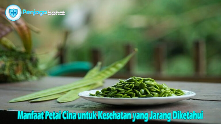 Manfaat Petai Cina untuk Kesehatan yang Jarang Diketahui