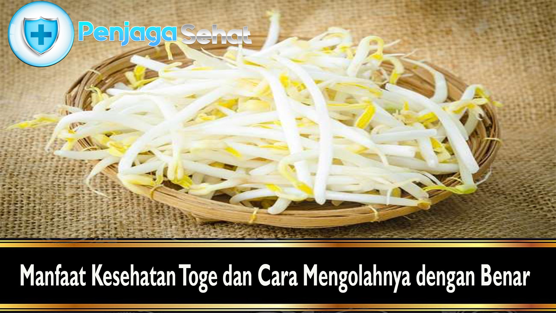Manfaat Kesehatan Toge dan Cara Mengolahnya dengan Benar