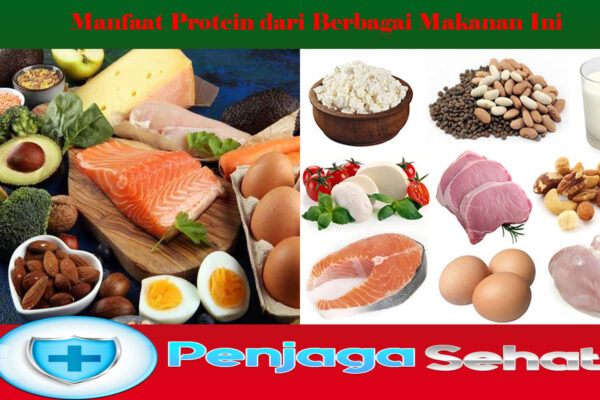 Manfaat Protein dari Berbagai Makanan Ini