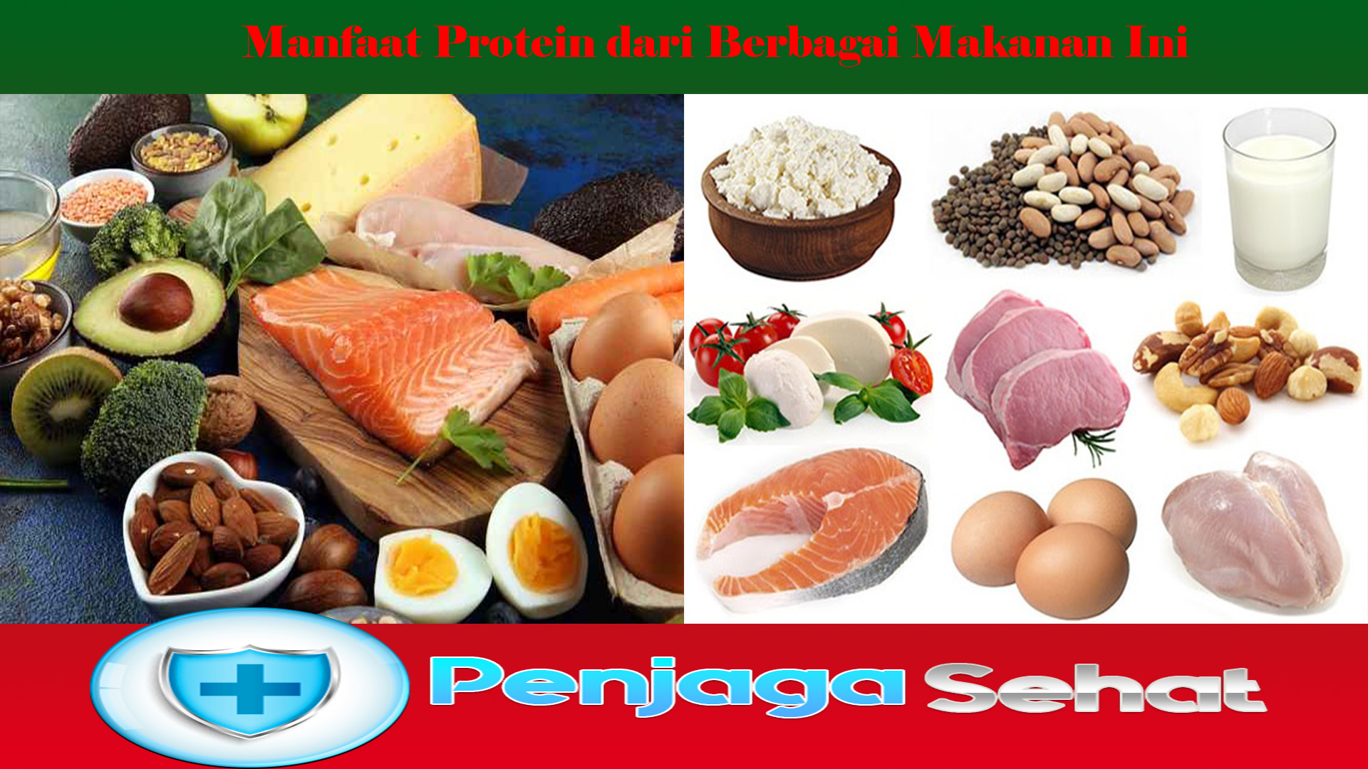 Manfaat Protein dari Berbagai Makanan Ini