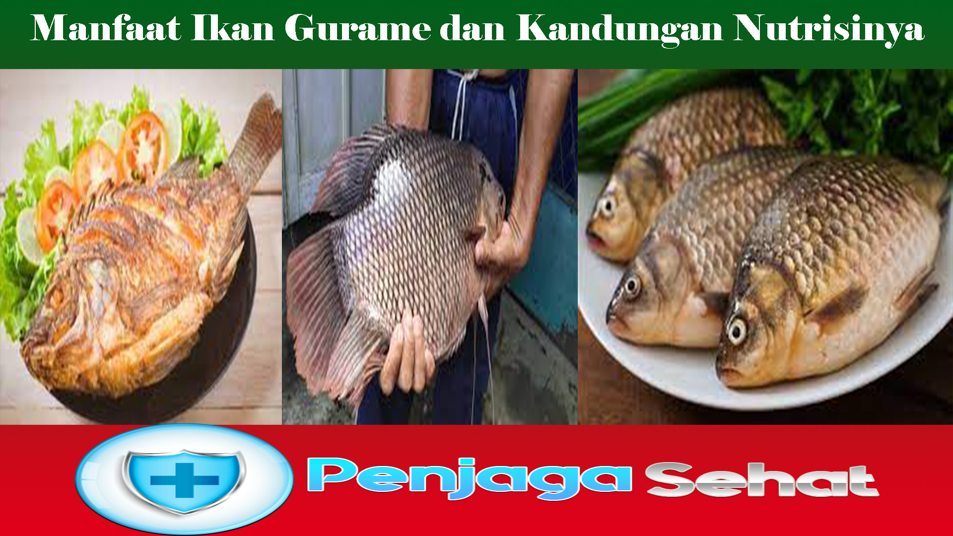 Manfaat Ikan Gurame dan Kandungan Nutrisinya