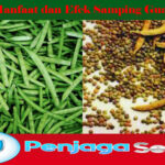 Ketahui Manfaat dan Efek Samping Guar Gum
