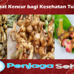 Manfaat Kencur bagi Kesehatan Tubuh