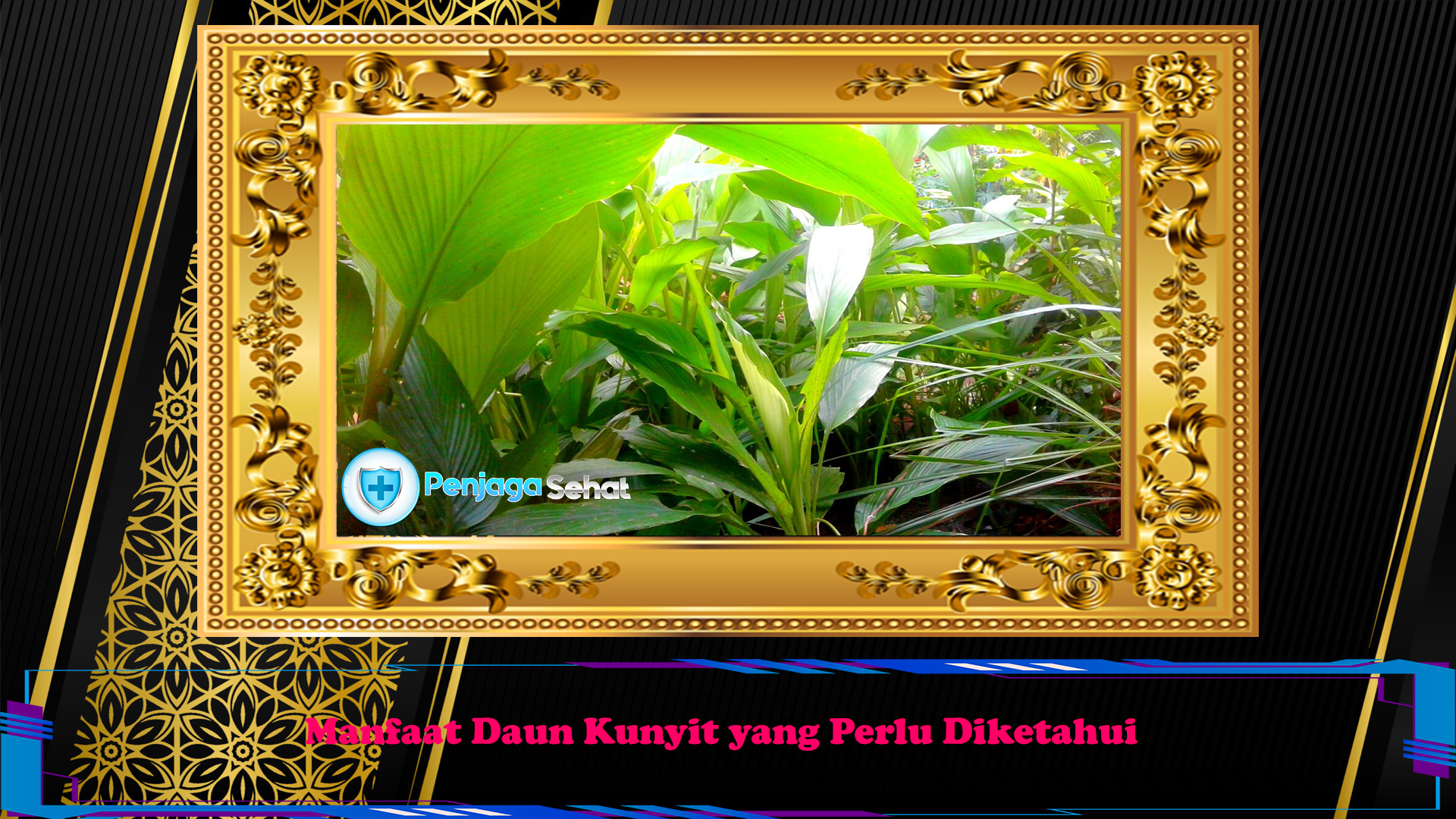 Manfaat Daun