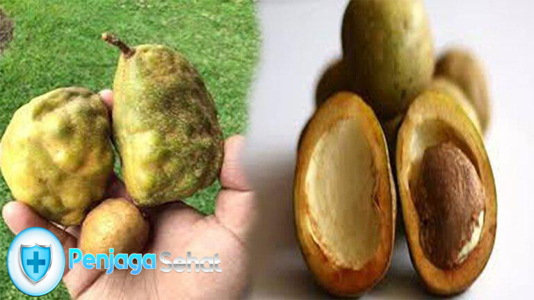 Buah Namnam: Ketahui Nutrisi dan Manfaatnya untuk Tubuh