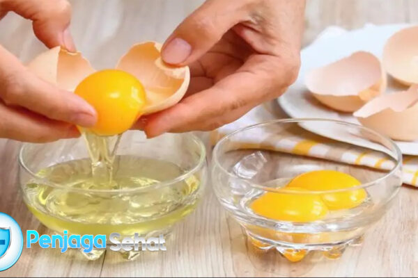 Kandungan Putih Telur dan Manfaatnya untuk Kesehatan