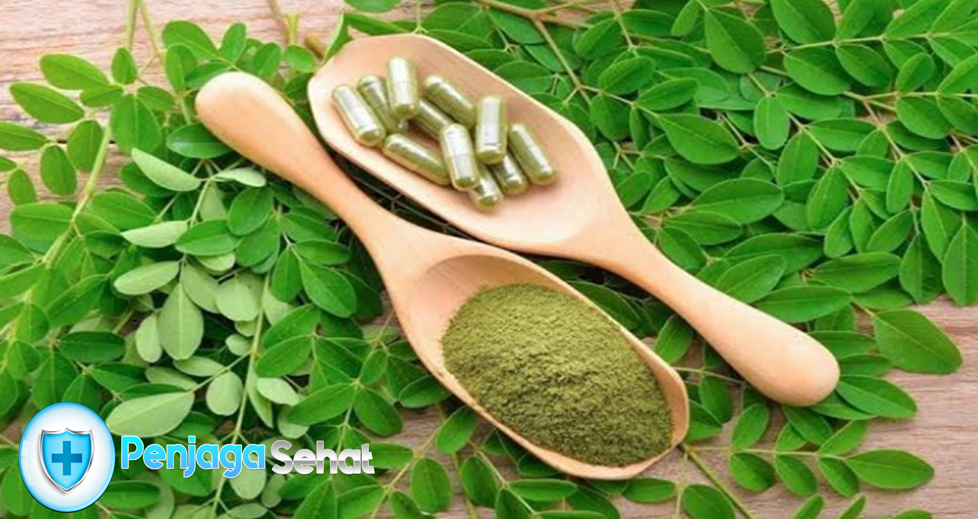 Daun Kelor: Kaya Akan Nutrisi dan Manfaat Kesehatan