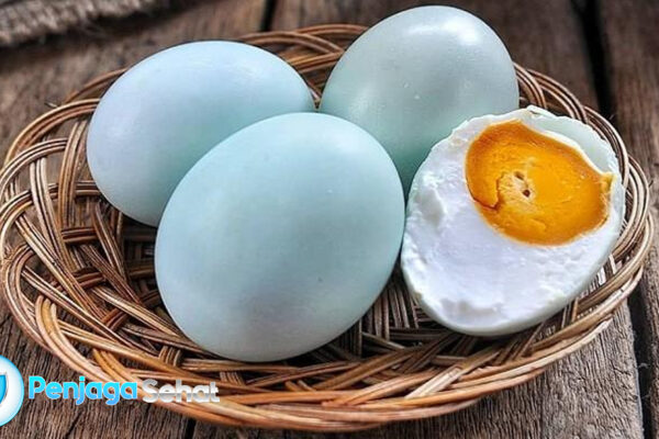 Telur Bebek: Pilihan Nutrisi dengan Kelebihan dan Kekurangan