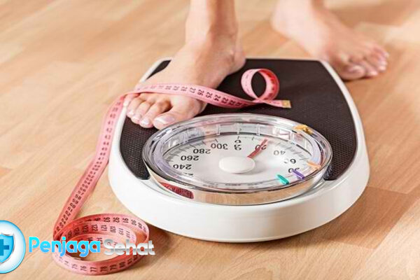 Cara Kerja Kalkulator Berat Badan Ideal