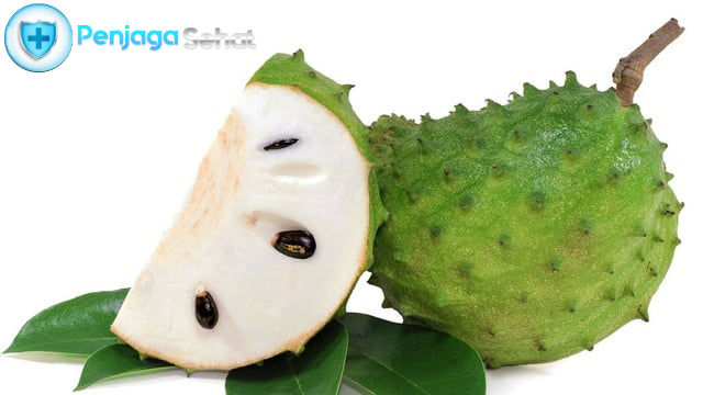 Kandungan Buah Sirsak