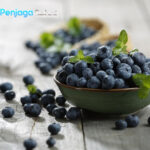 Blueberry Tinggi Antioksidan