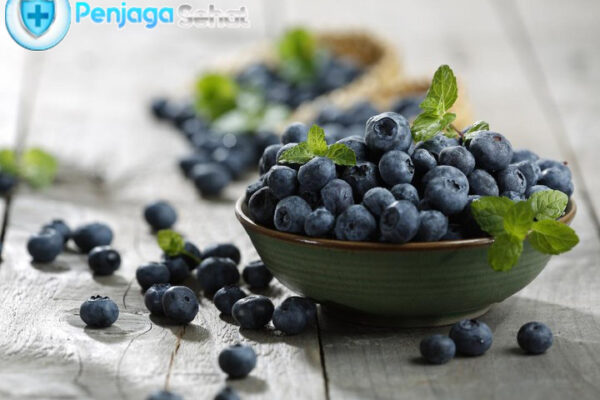 Blueberry Tinggi Antioksidan Blueberry Tinggi Antioksidan