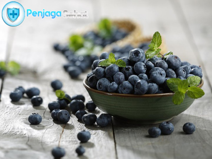 Blueberry Tinggi Antioksidan